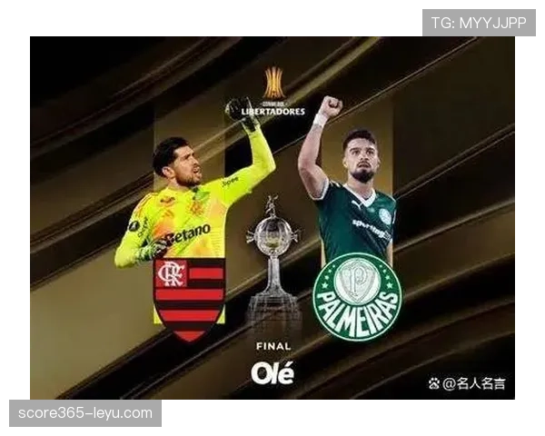 解放者杯竞争激烈,南美劲旅实力大增引发新赛季热议 解放者杯竞争激烈,南美劲旅实力大增引发新赛季热议