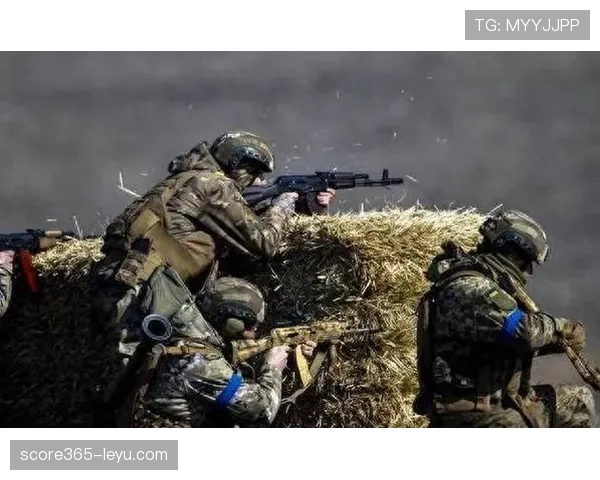 梅里诺战术适配性成关键，推动球队战术革新助胜率显著提升